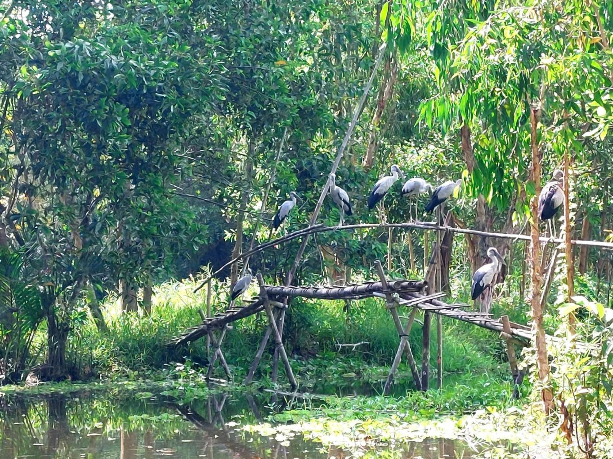 Tran Phu Riverside House Can Tho Eksteriør bilde